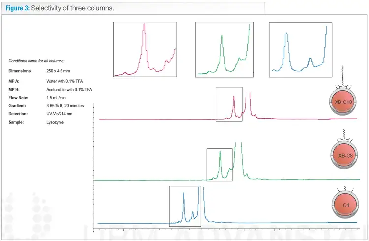 selectivity of 3 columns xb-c18 xb-c8 c4