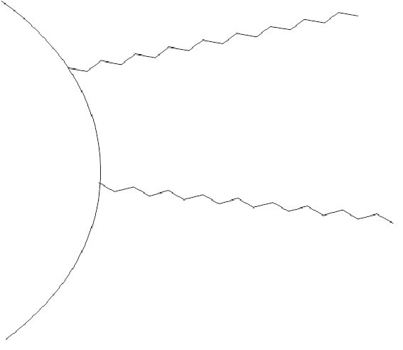 alt="C18 Stationary Phase