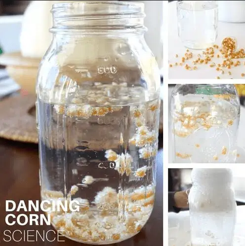 Dancing corn