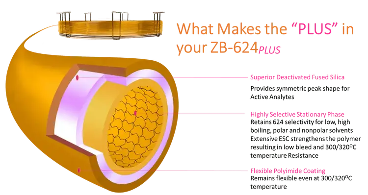 624plus