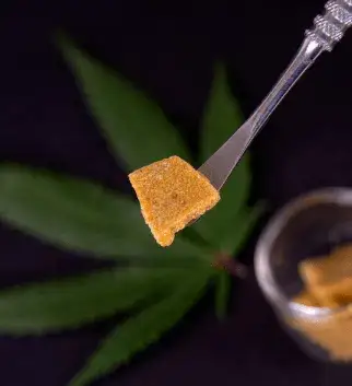 cannabis