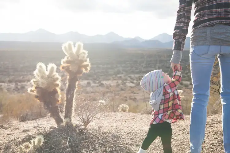 Mom brain