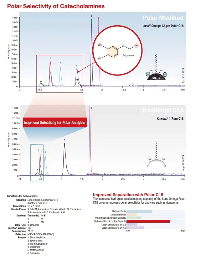 Polar selectivity of catecholamines