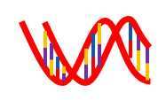 Oligonucleotides