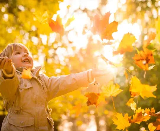 5 Fun and Easy Activities to Do This Fall