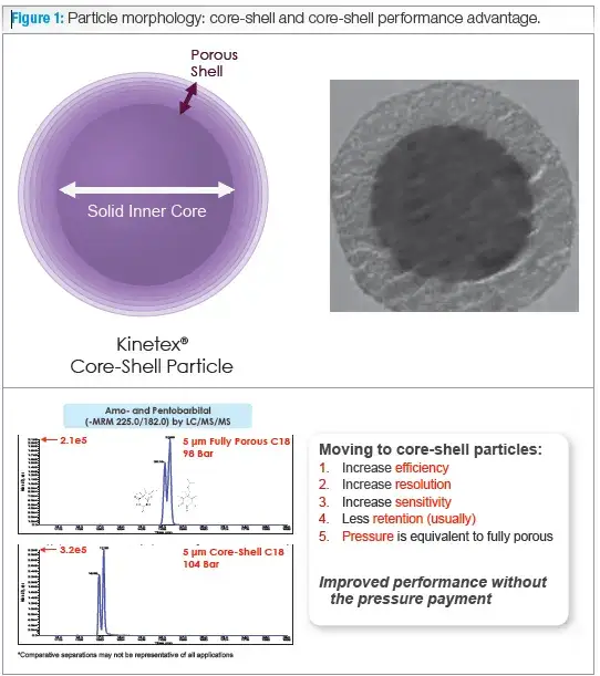 core-shell particle