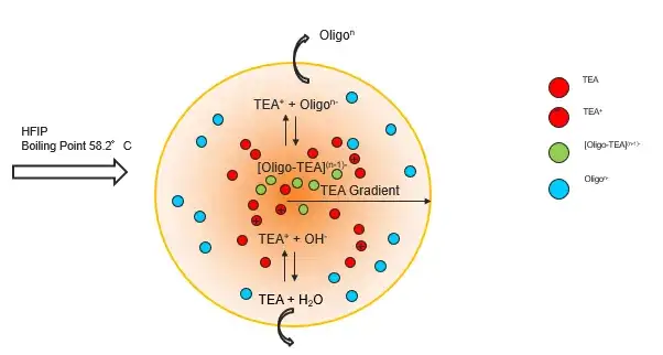 ESI mechanism for synthetic oligonucleotides