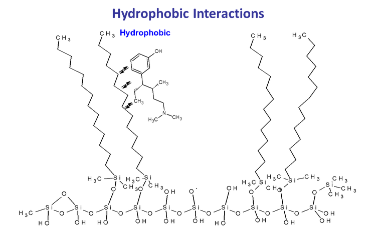 Hydrophobic interaction in HPLC