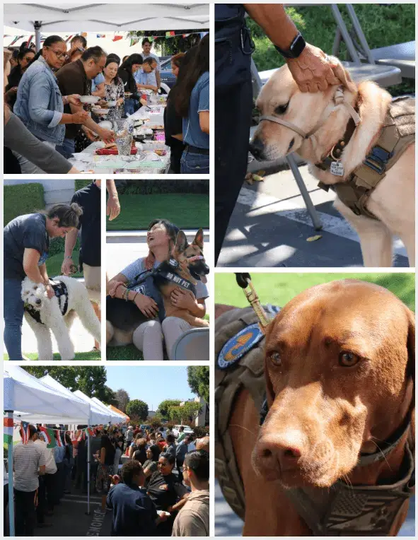Next step service dogs visits with phenomenex and dogtopia