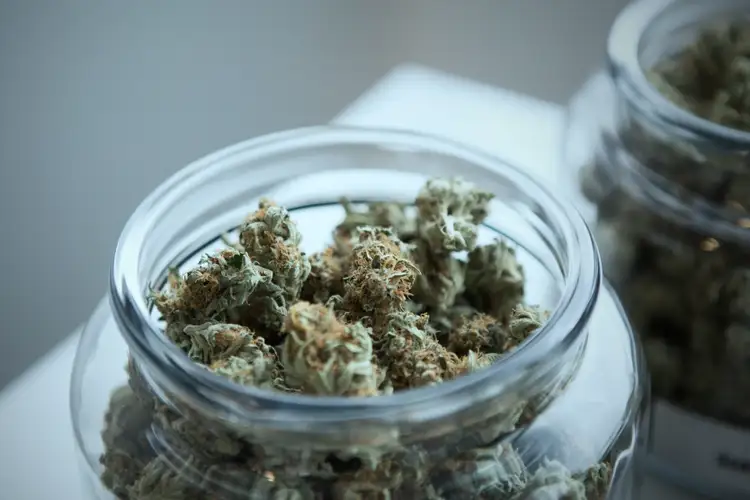 Cannabis: HPLC method development