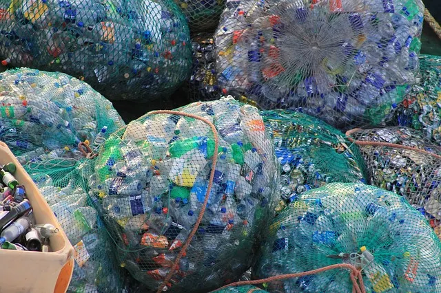 plastic bottle