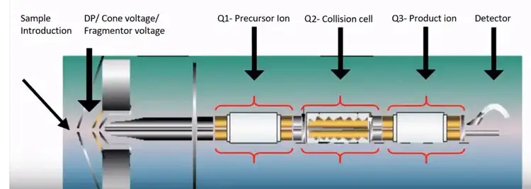 Mass Spectrometer