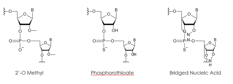 Examples of synthetic oligonucleotide modifications used to improve stability