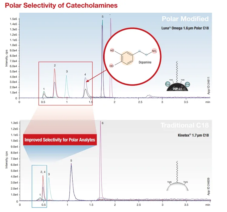 Polar selectivity of catecholamines