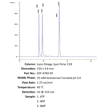 nucleotides