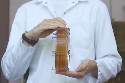 GC tip on protecting your GC Column - part 2 | Phenomenex