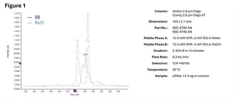 Analisis of a double stranded siRNA