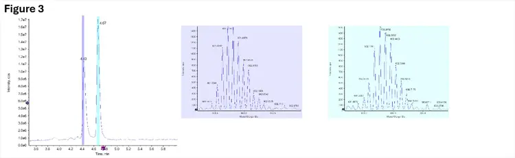 Separation between the sense and antisense strands