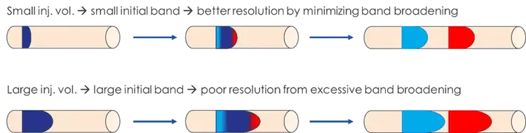 Injection volume and band broadening: Increasing injection volume introduces band broadening in SEC, reducing resolution and compromising molecular weight accuracy.