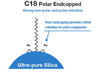 c18 polar endcapped