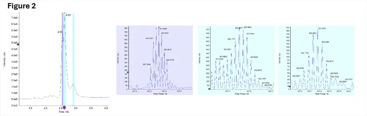 bimodality of the antisense strand