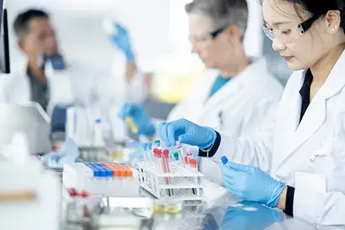 Sample Preparation