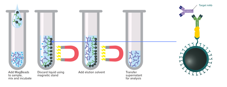 Immunocapture - Phenomenex